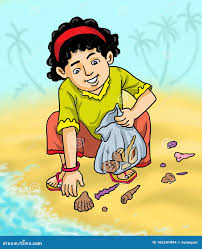 collect shells